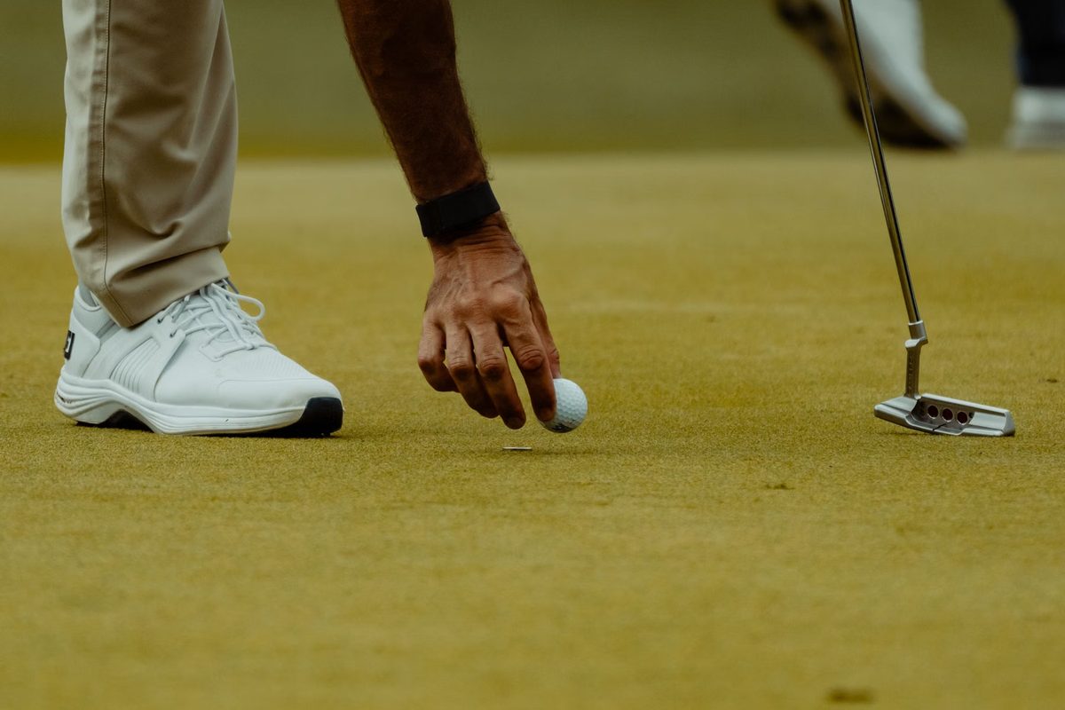 Hình ảnh gói Putting Master